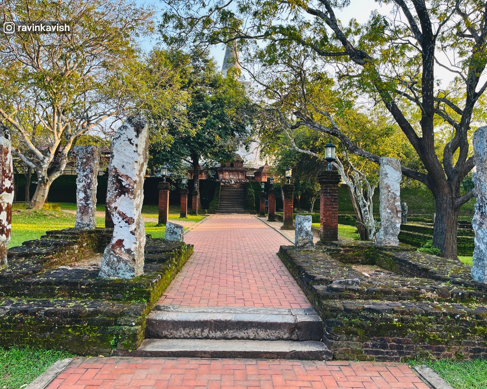 Ancient Kiri Vehera stupa framed by trees and ruins around in Alahana Pirivena, Polonnaruwa
