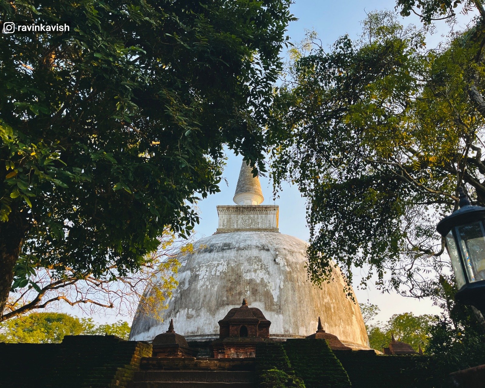 Ancient Kiri Vehera stupa framed by a treeat Alahana Pirivena, Polonnaruwa