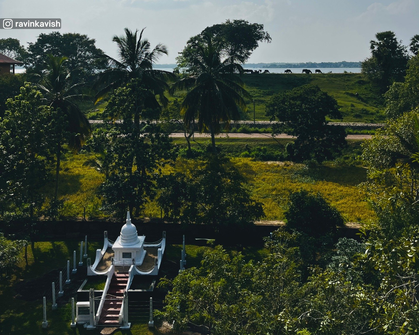 Isurumuniya Temple