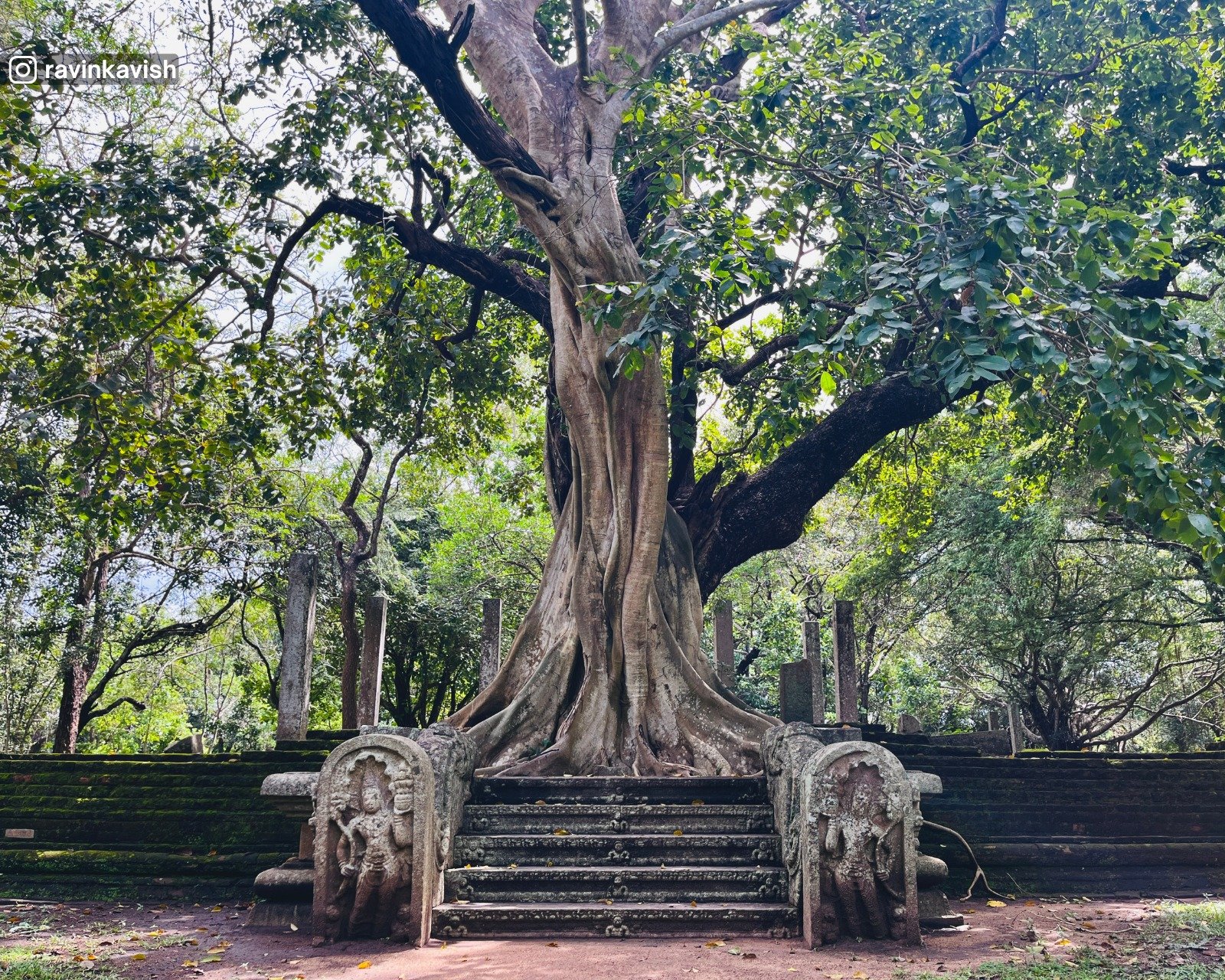 Image House Behind Samadhi Statue
