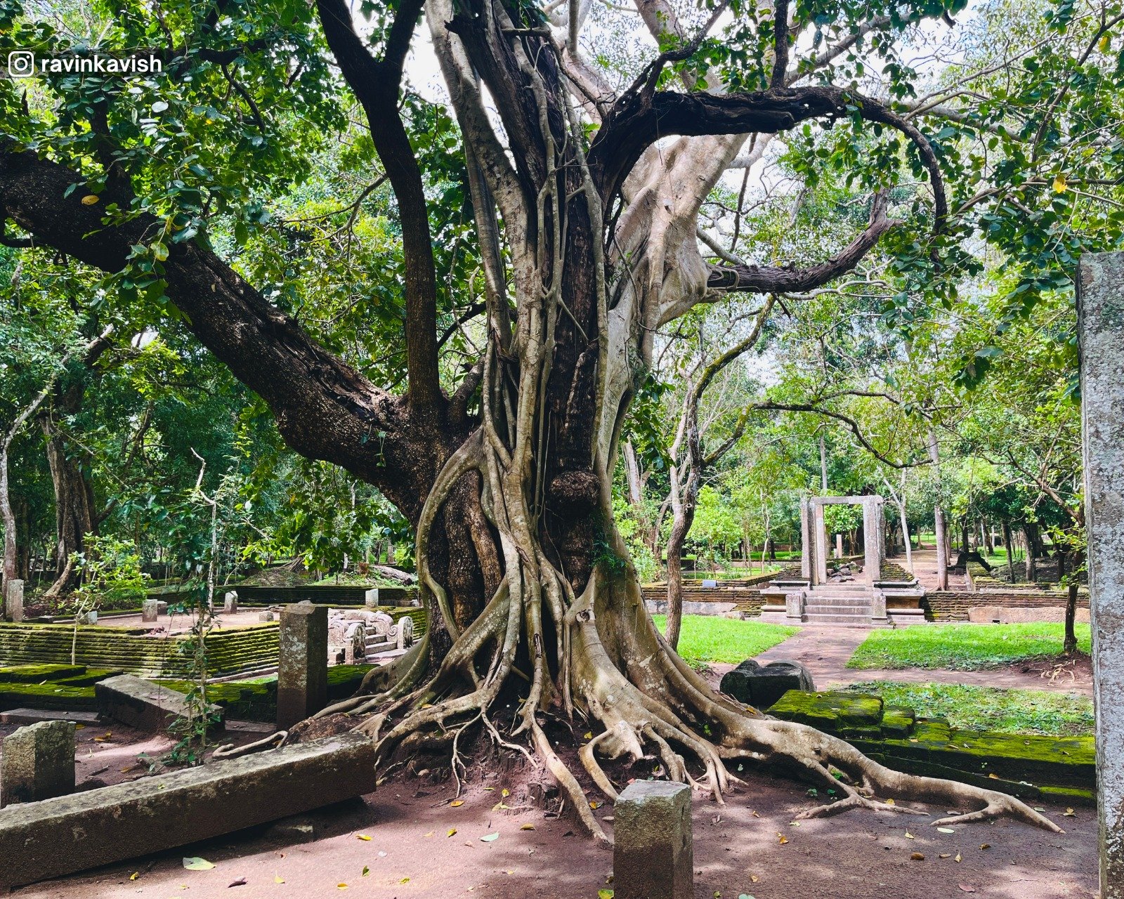 Image House Behind Samadhi Statue