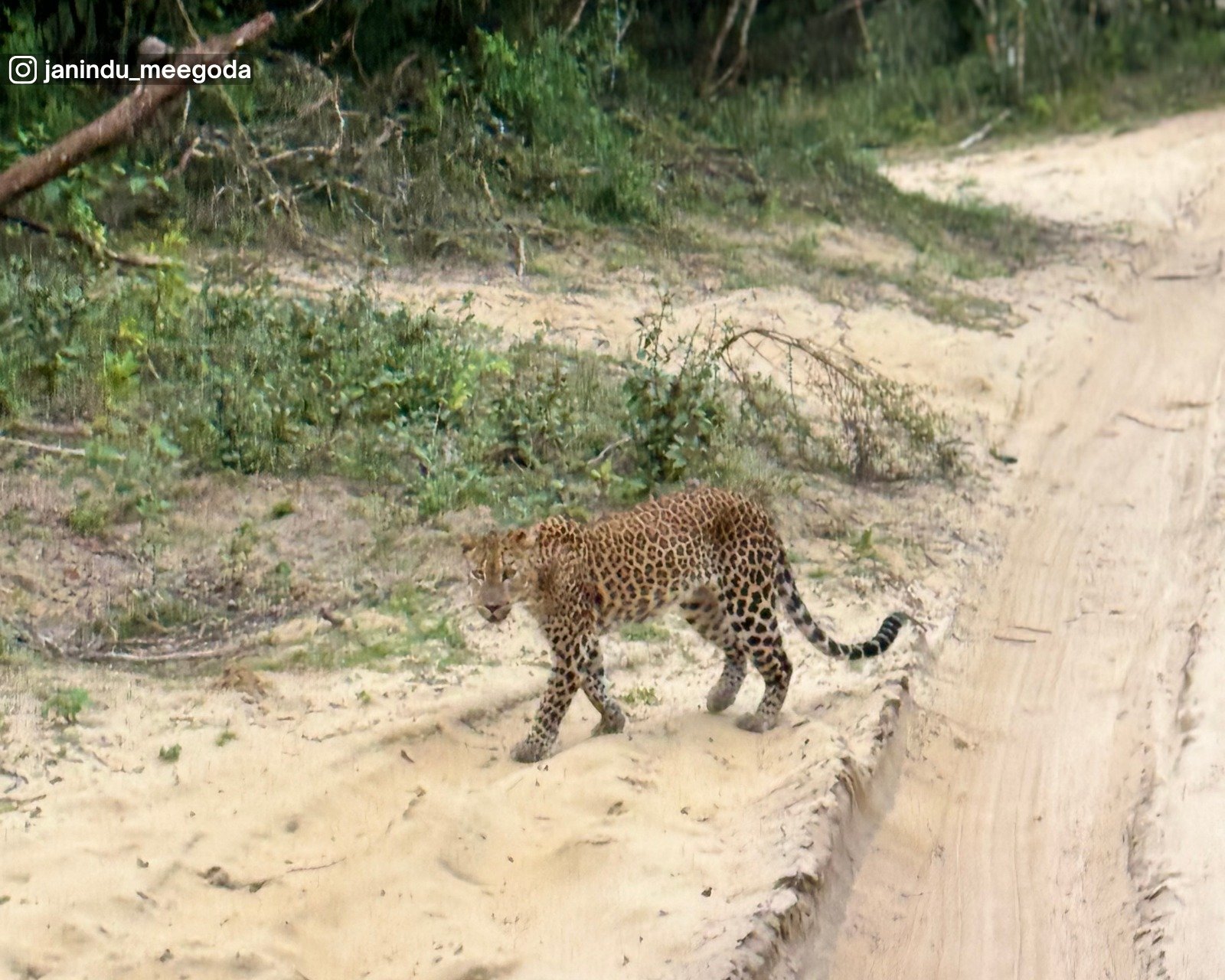 Wilpattu National Park