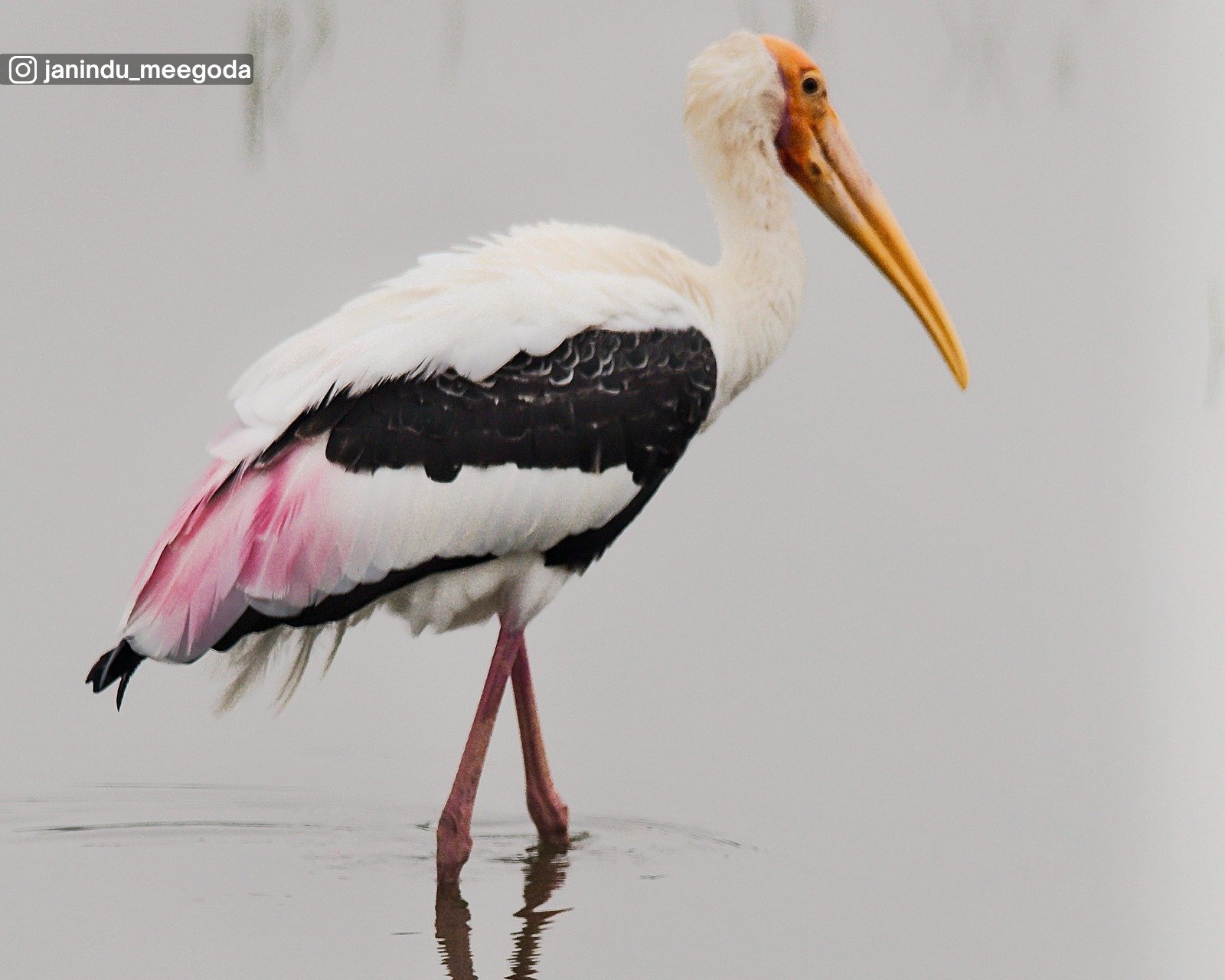 Wilpattu National Park