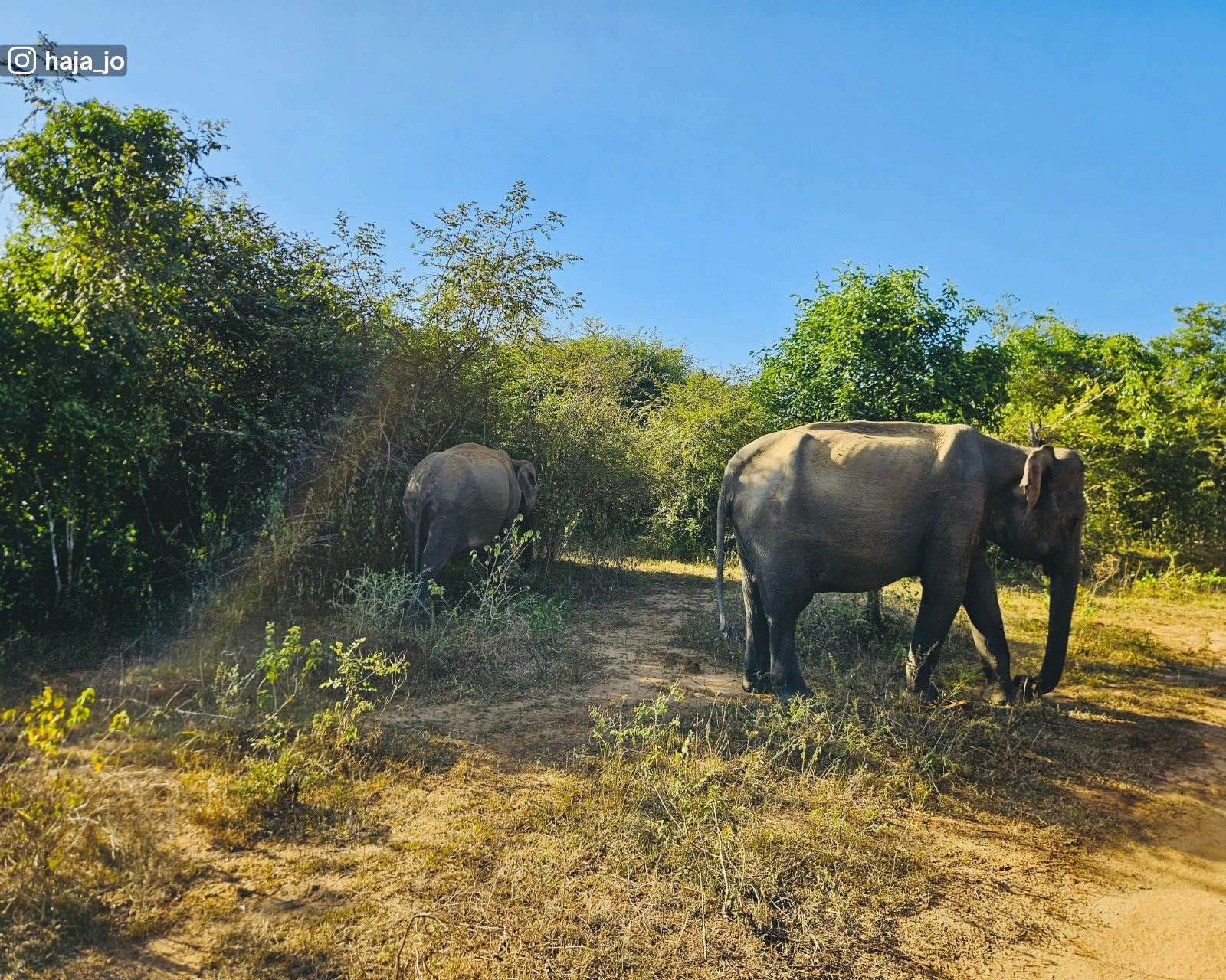 Udawalawa National Park
