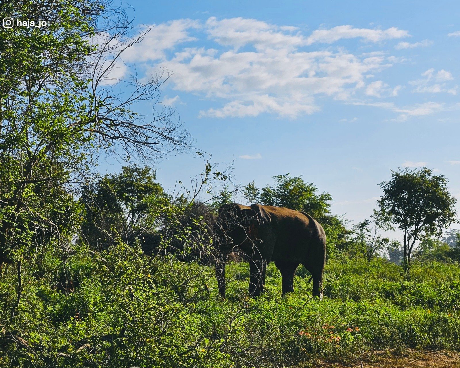 Udawalawa National Park