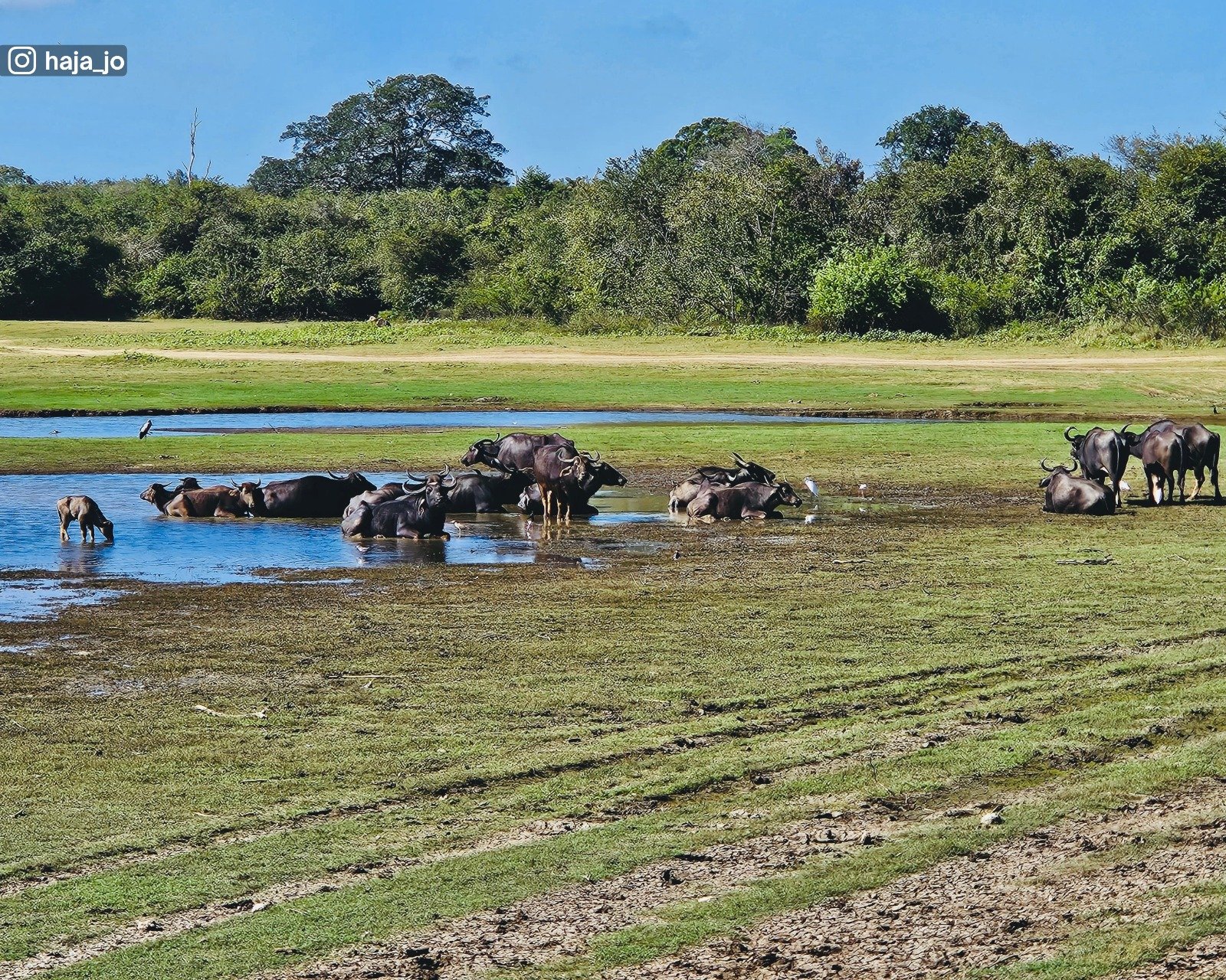 Udawalawa National Park