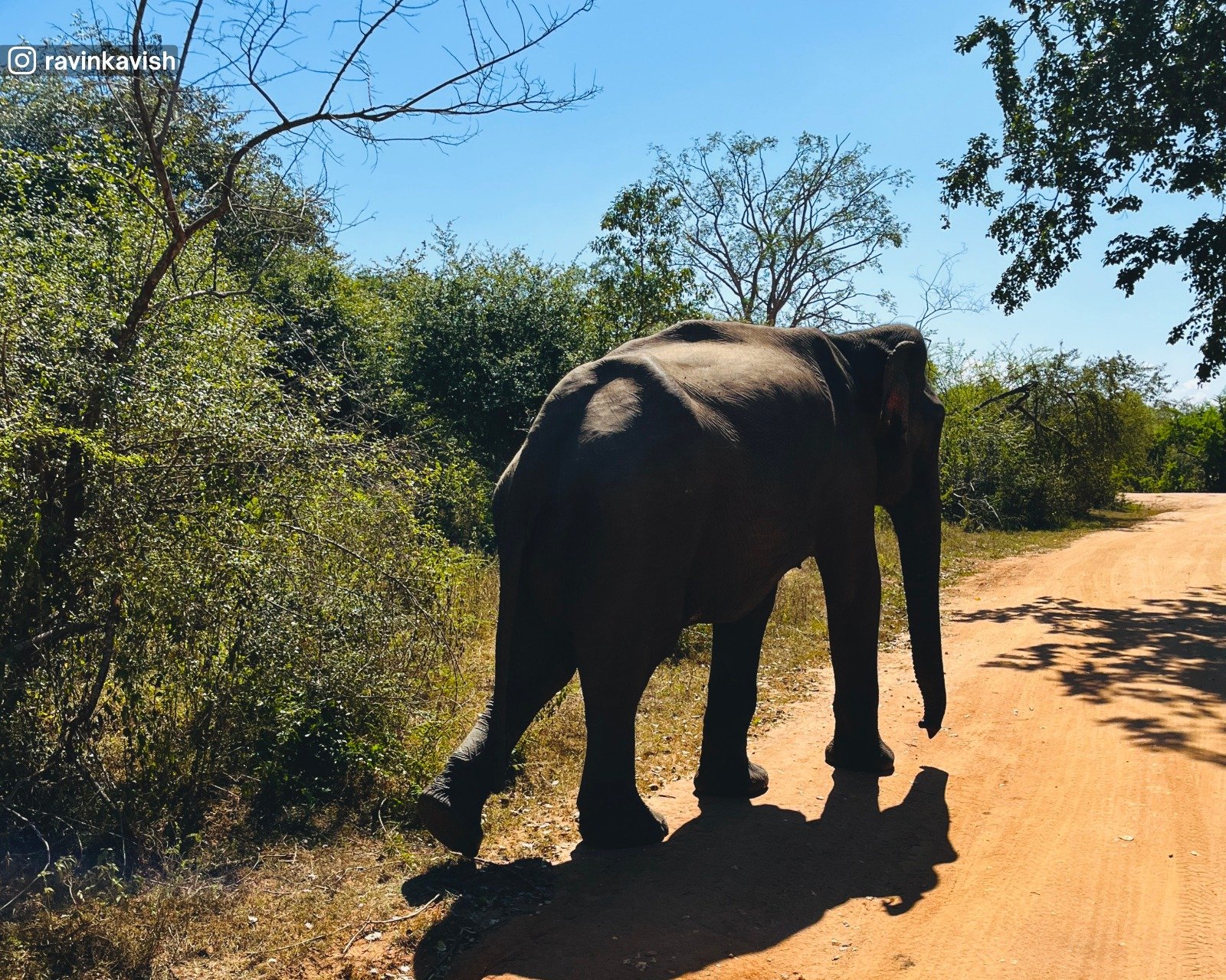 Udawalawa National Park