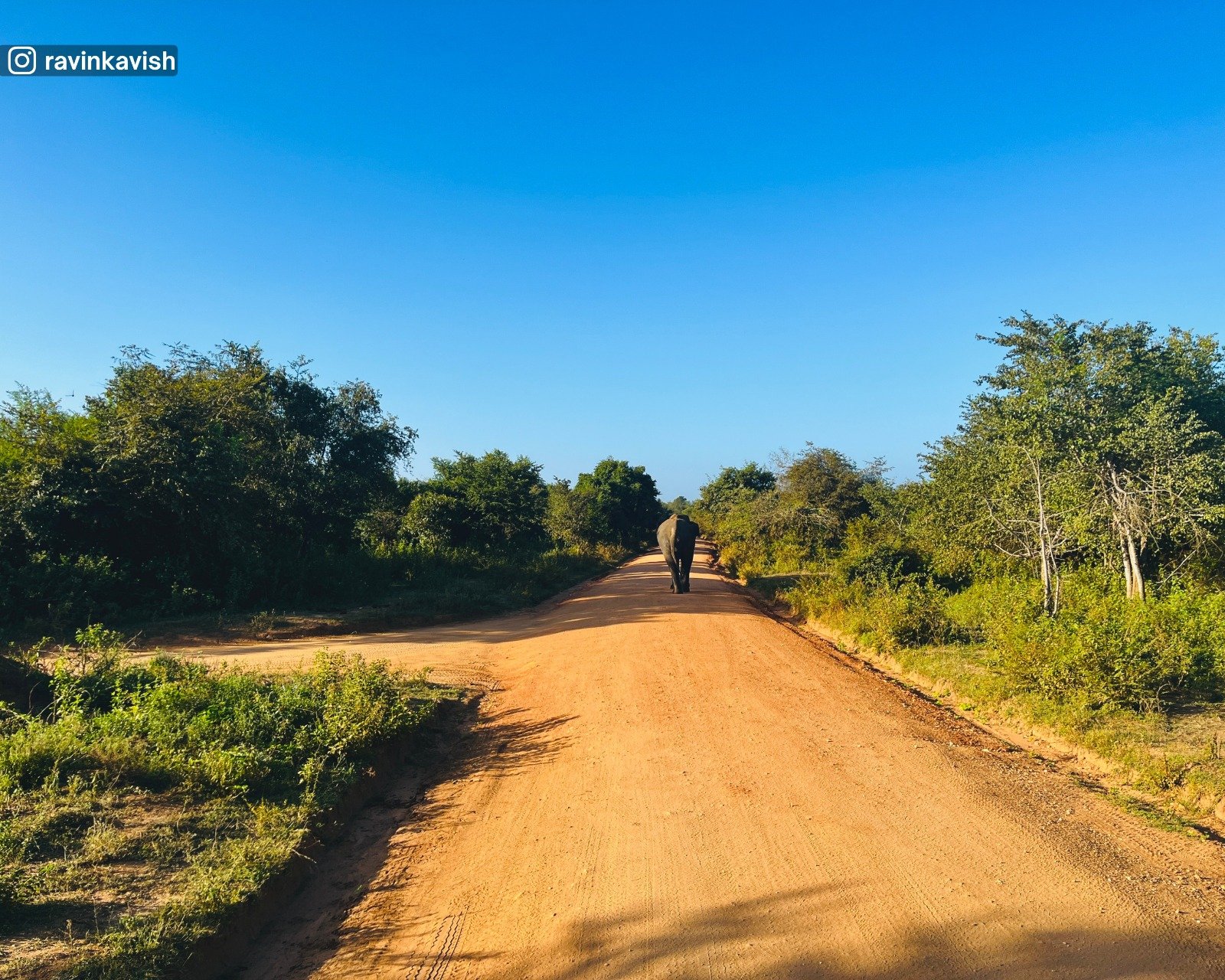 Udawalawa National Park