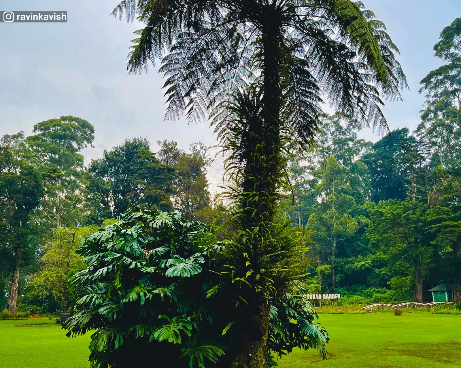 Victoria Park