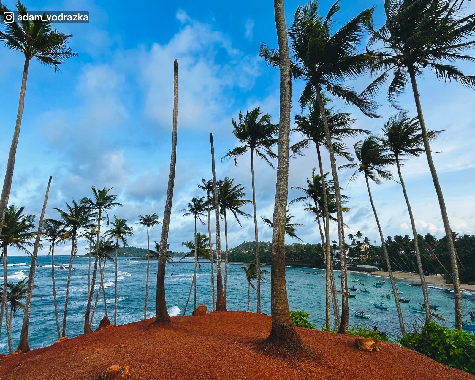 Coconut Tree Hill