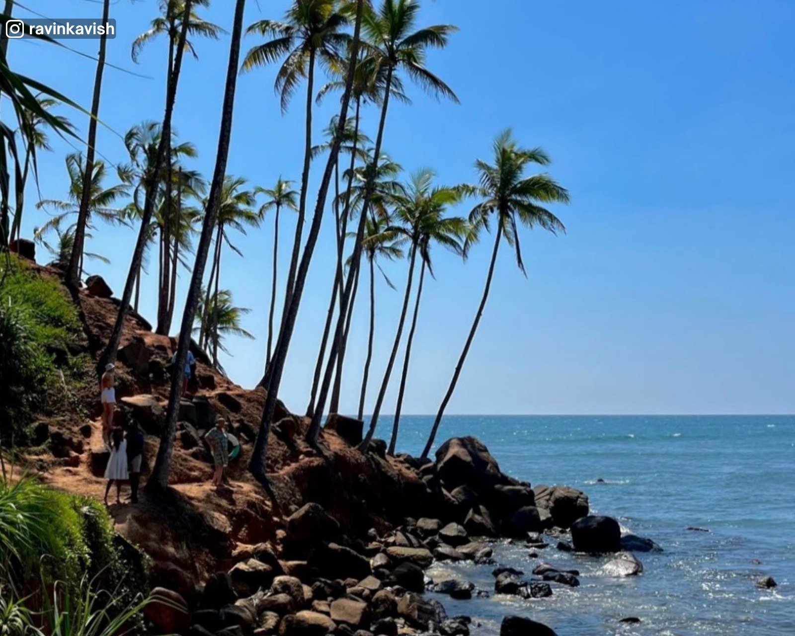 Coconut Tree Hill