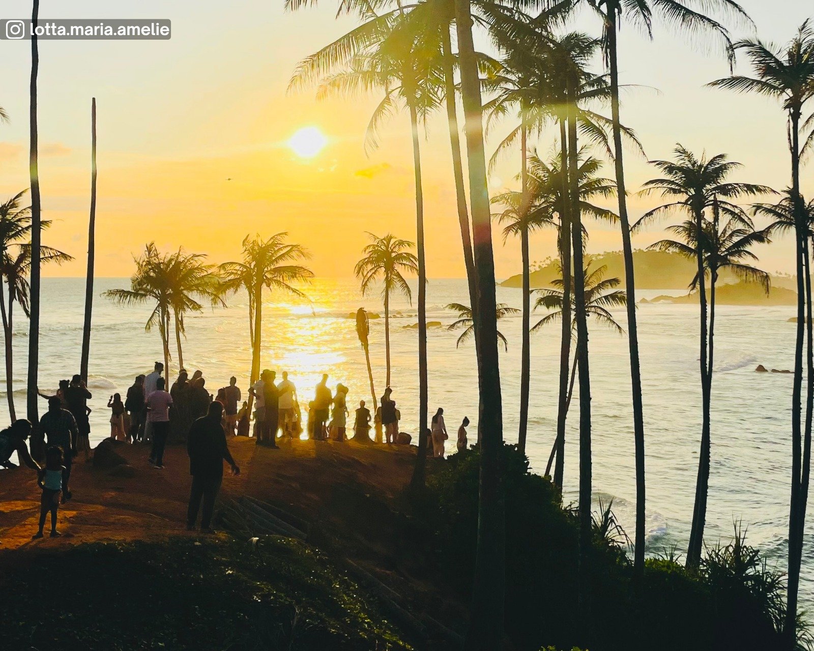 Coconut Tree Hill
