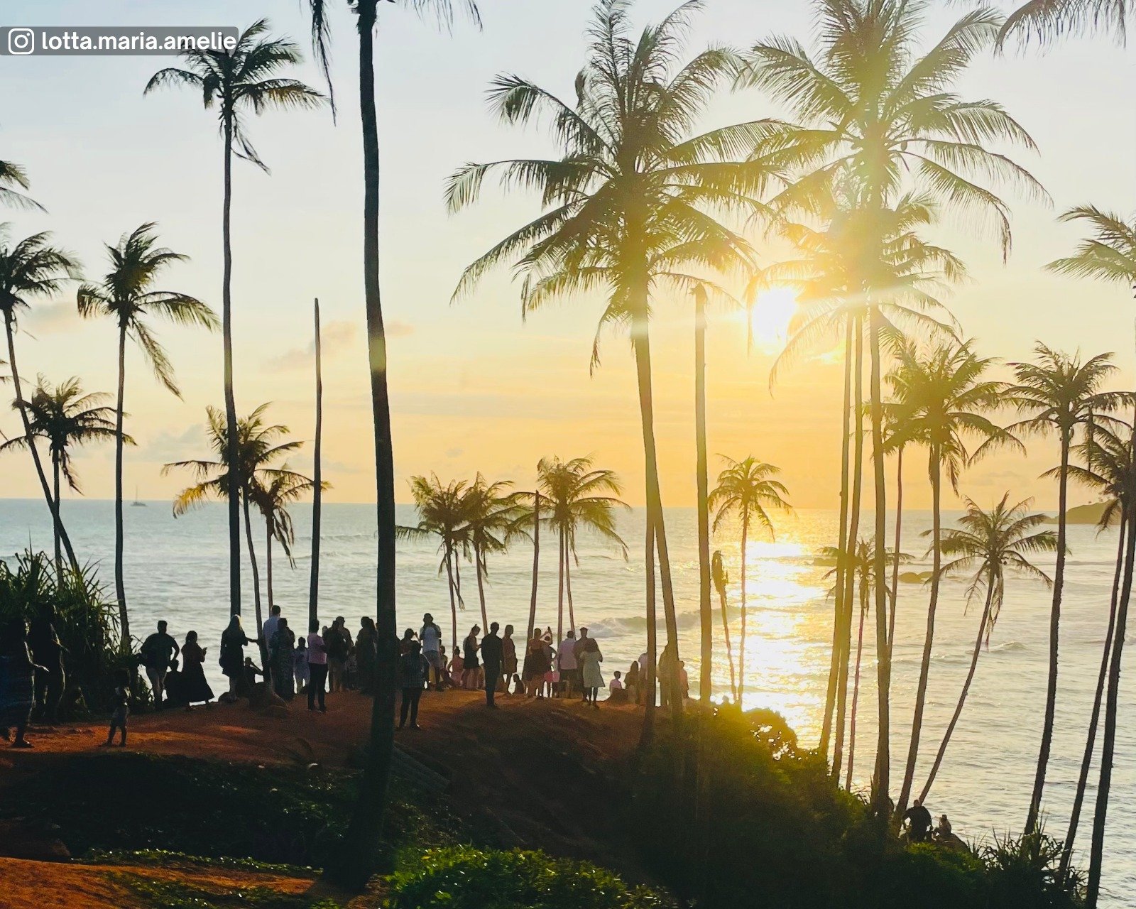 Coconut Tree Hill