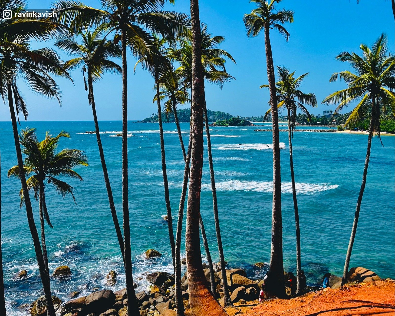Coconut Tree Hill