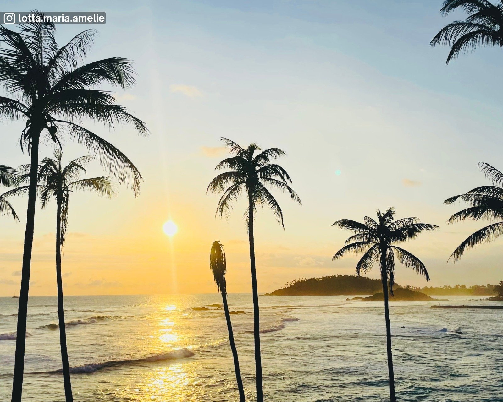 Coconut Tree Hill