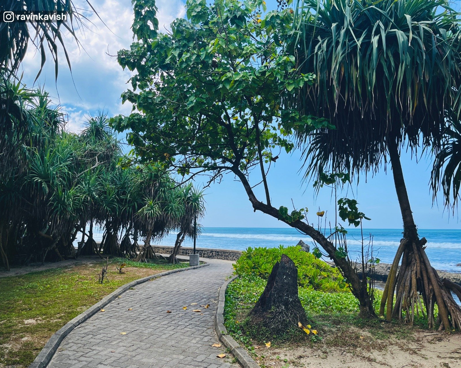 Green Beach Park