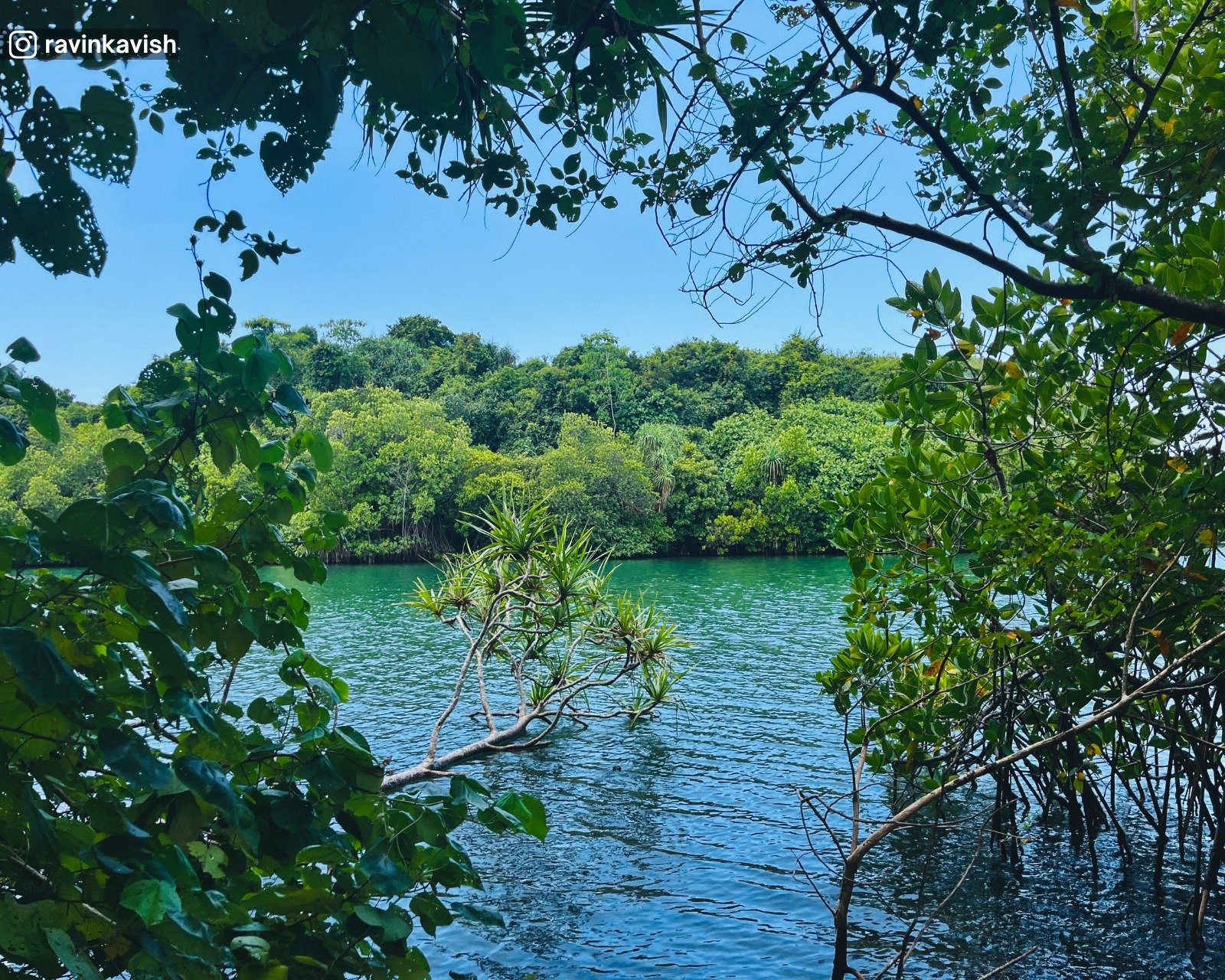 Madol Duwa island view
