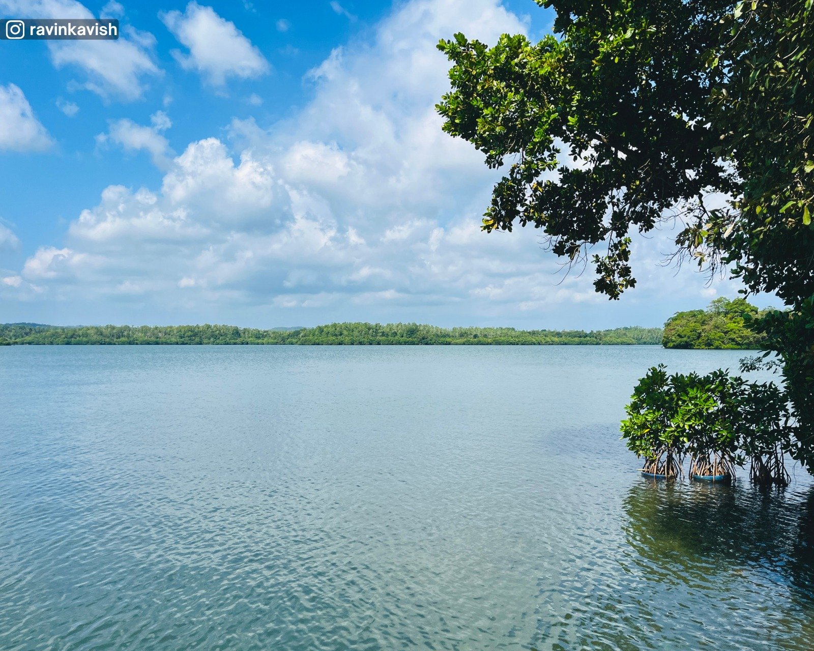Koggala Lagoon
