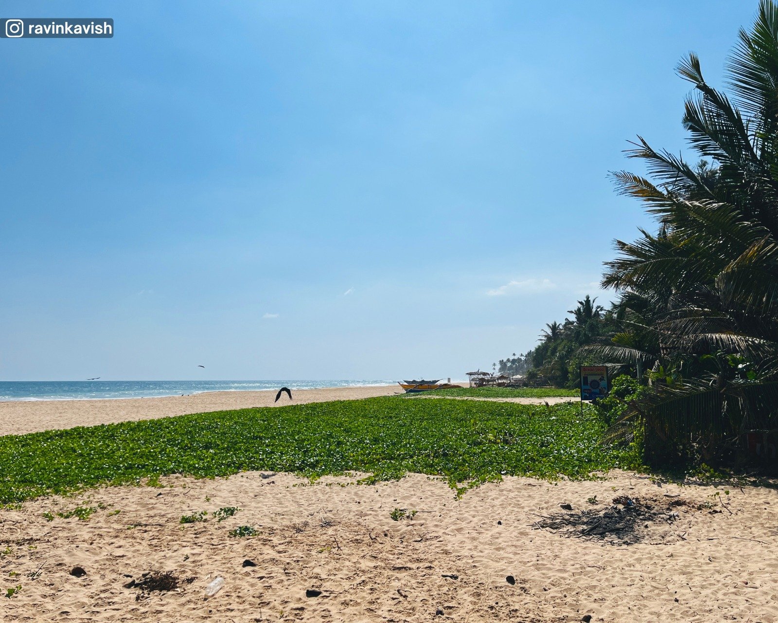 Habaraduwa Beach