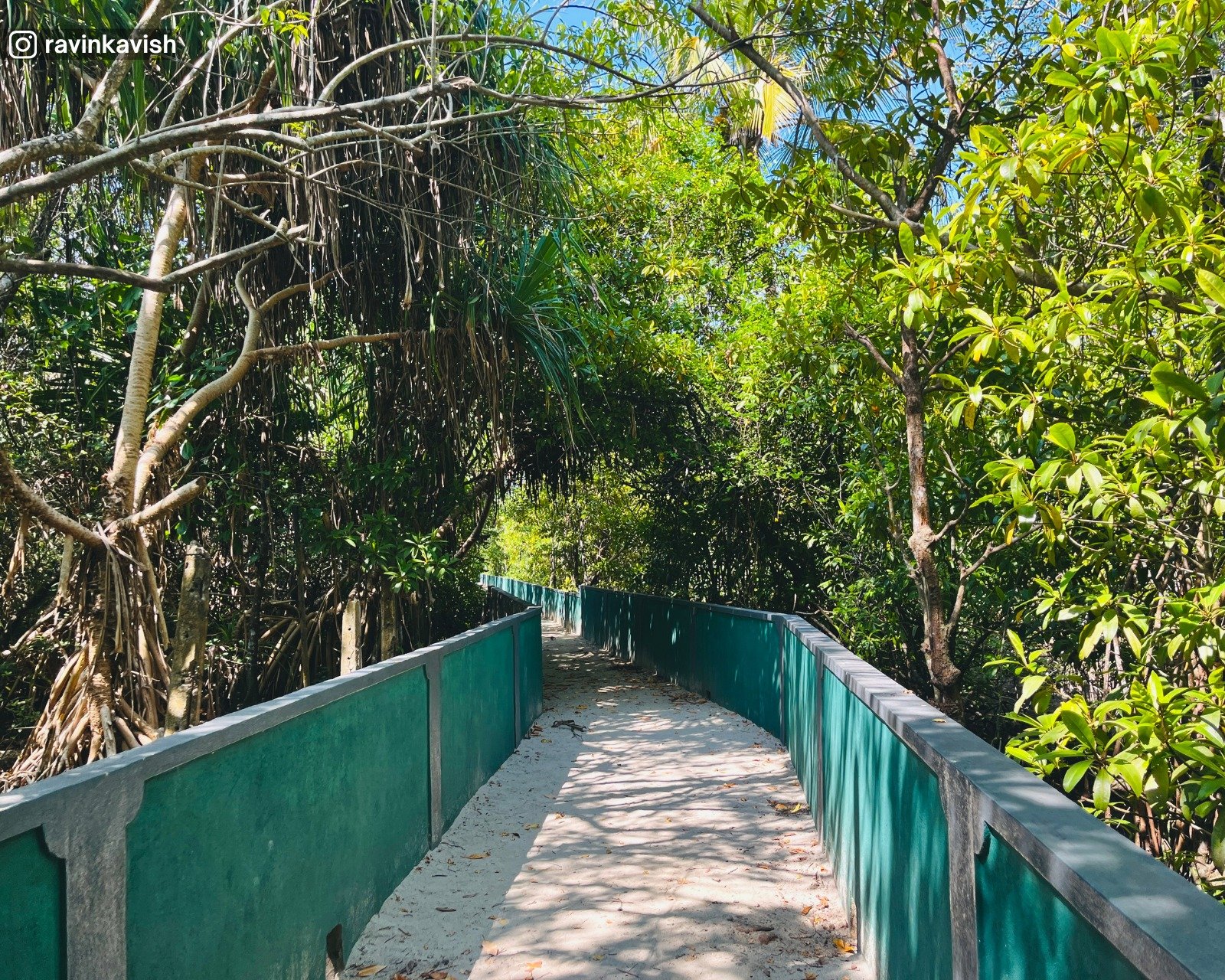 Thalathuduwa Buddhist Monastery bridge