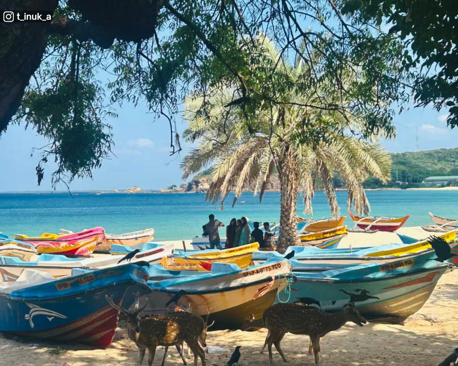 Dutch Bay Beach​