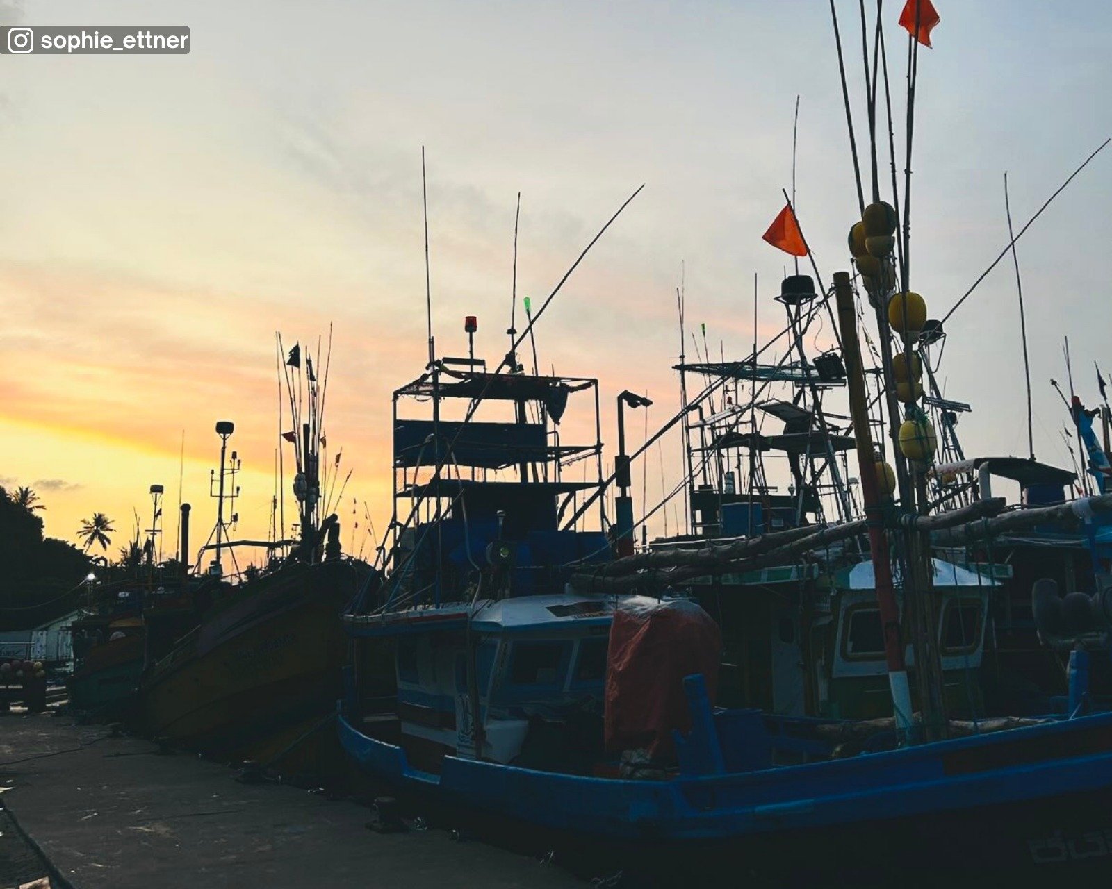 Mirissa Fisheries Harbour