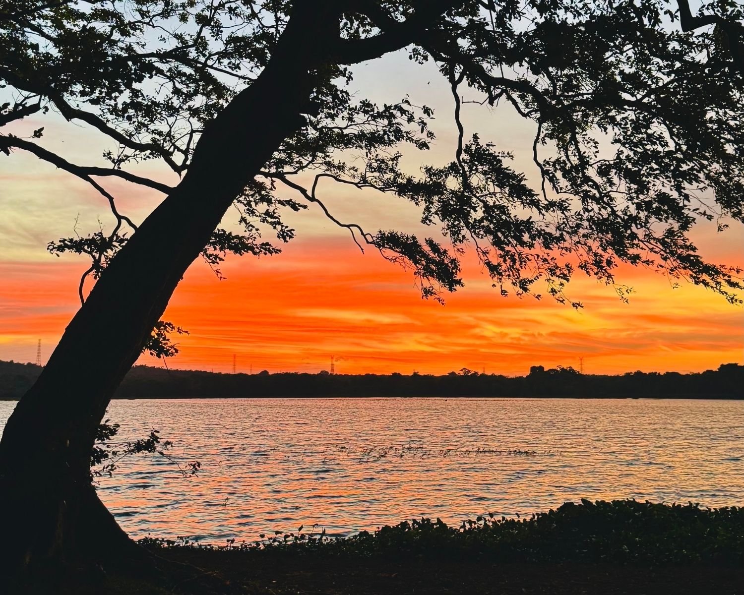 Fiery orange and pink sunset sky over Habarana Lake reservoir in Sri Lanka framed by silhouetted tree branches