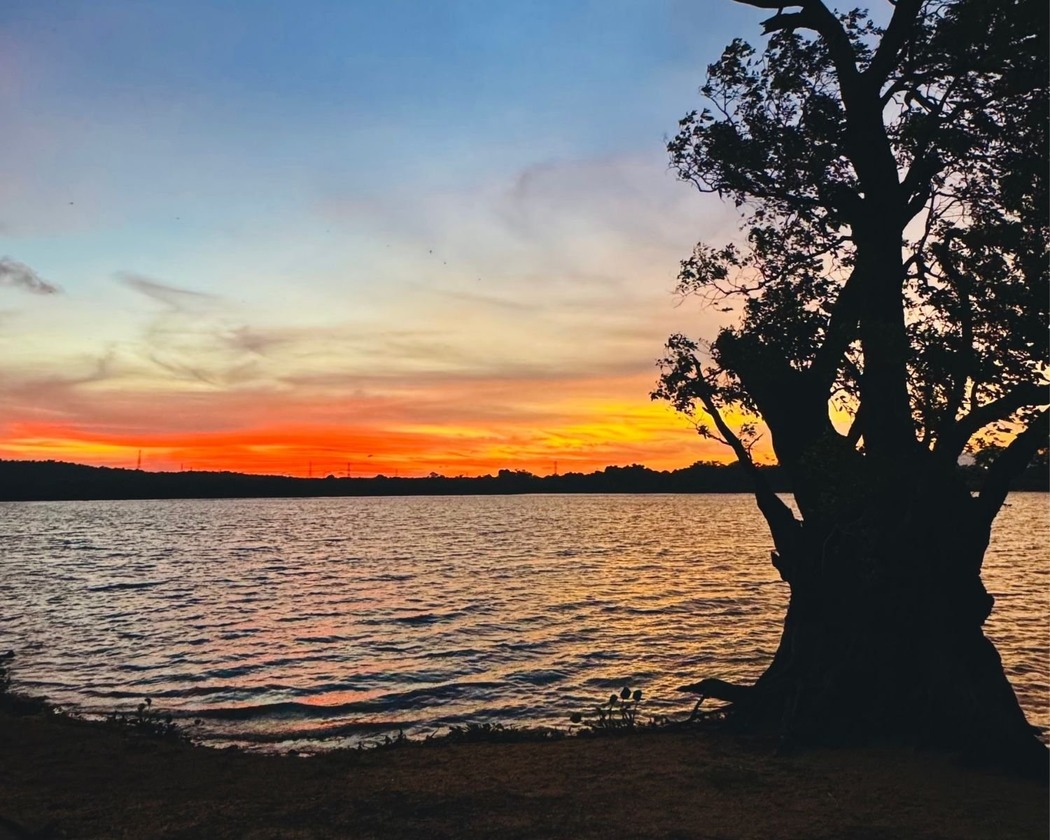 Wide view of fiery orange sunset reflecting on Habarana Lake reservoir in Sri Lanka with silhouetted tree on right bank