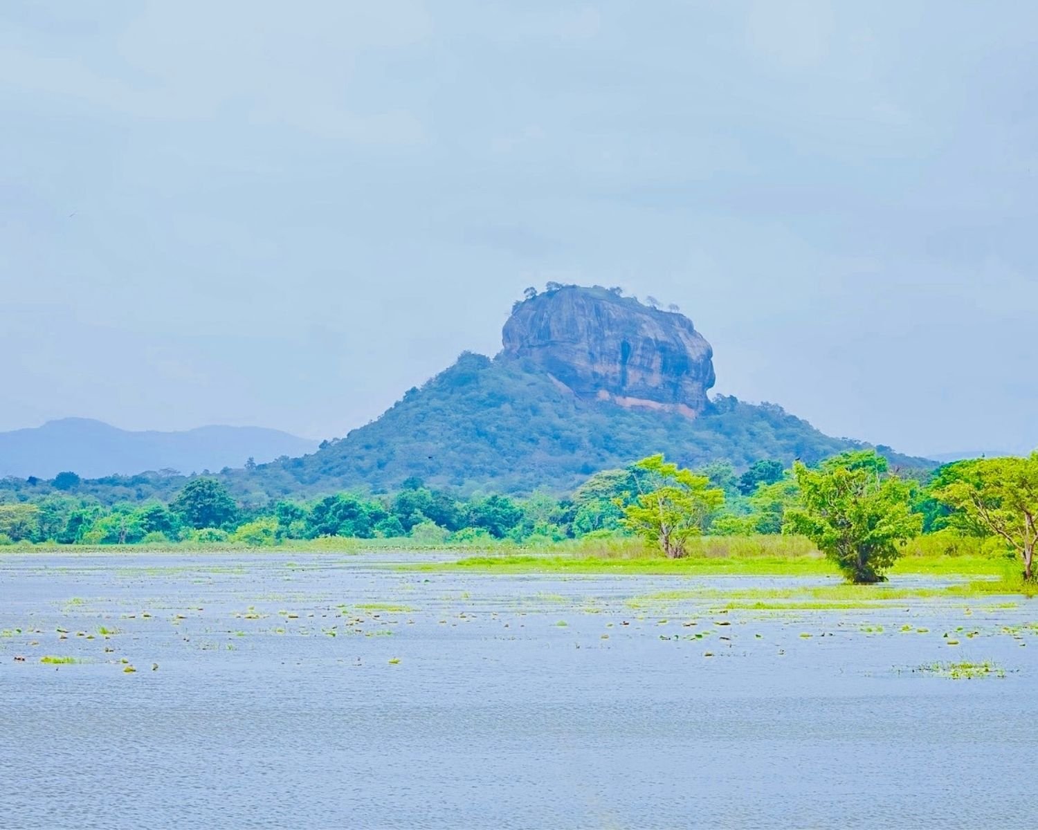 Hiriwadunna Lake reservoir with lily pads and green trees with Sigiriya Rock Lion Rock rising in background, Habarana, Sri Lanka