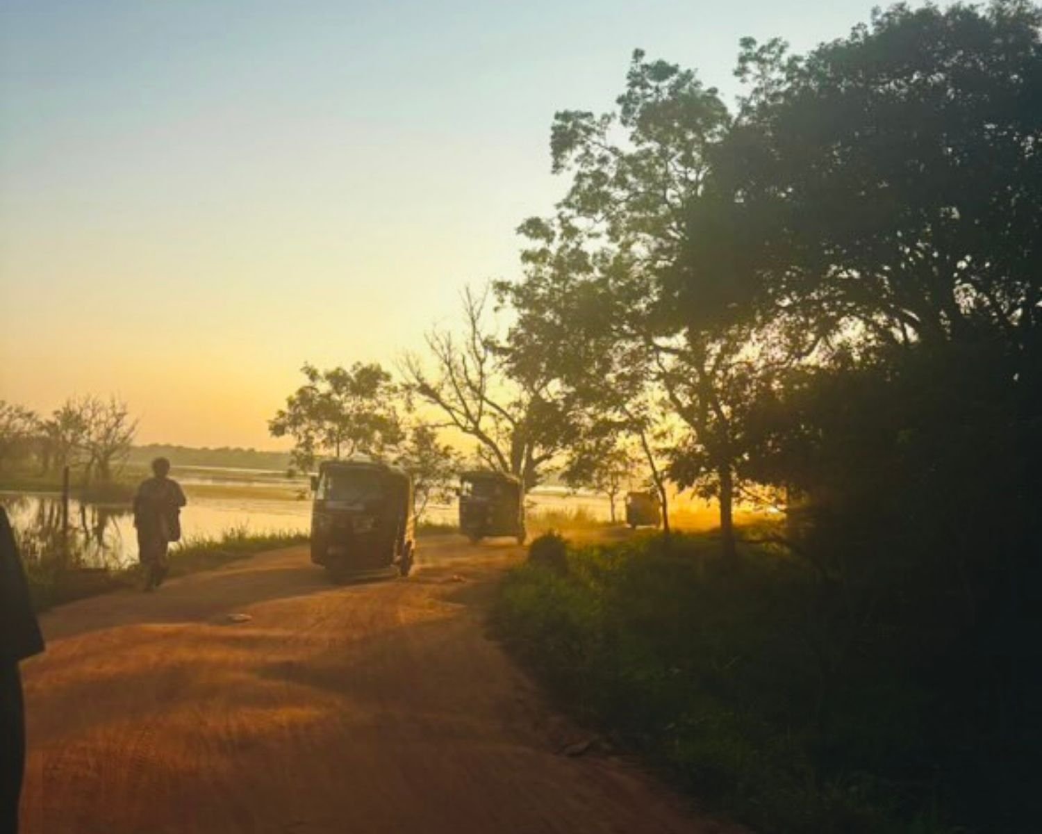 Tuk tuks driving on dirt road beside Hiriwadunna Lake reservoir at sunset with golden light and trees near Sigiriya, Sri Lanka