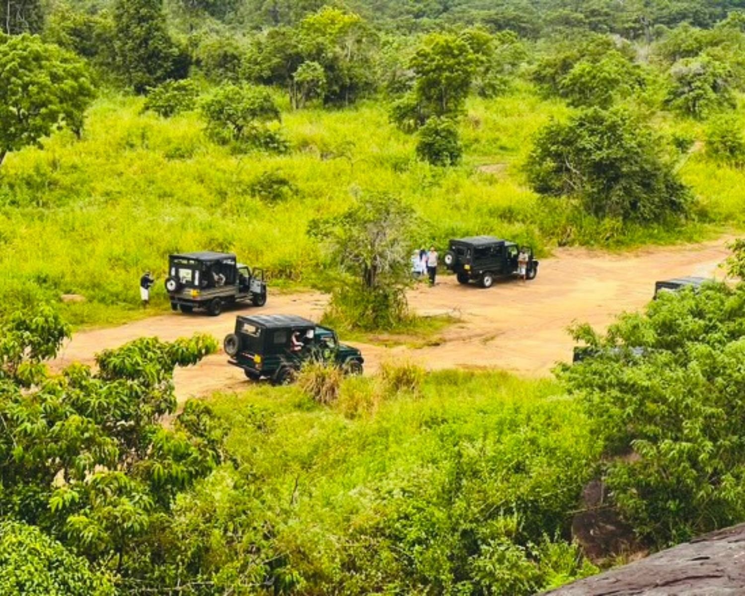 View from Hurulu Eco Park viewpoint looking down at safari jeeps and tourists in forest clearing with lush green jungle, Sri Lanka