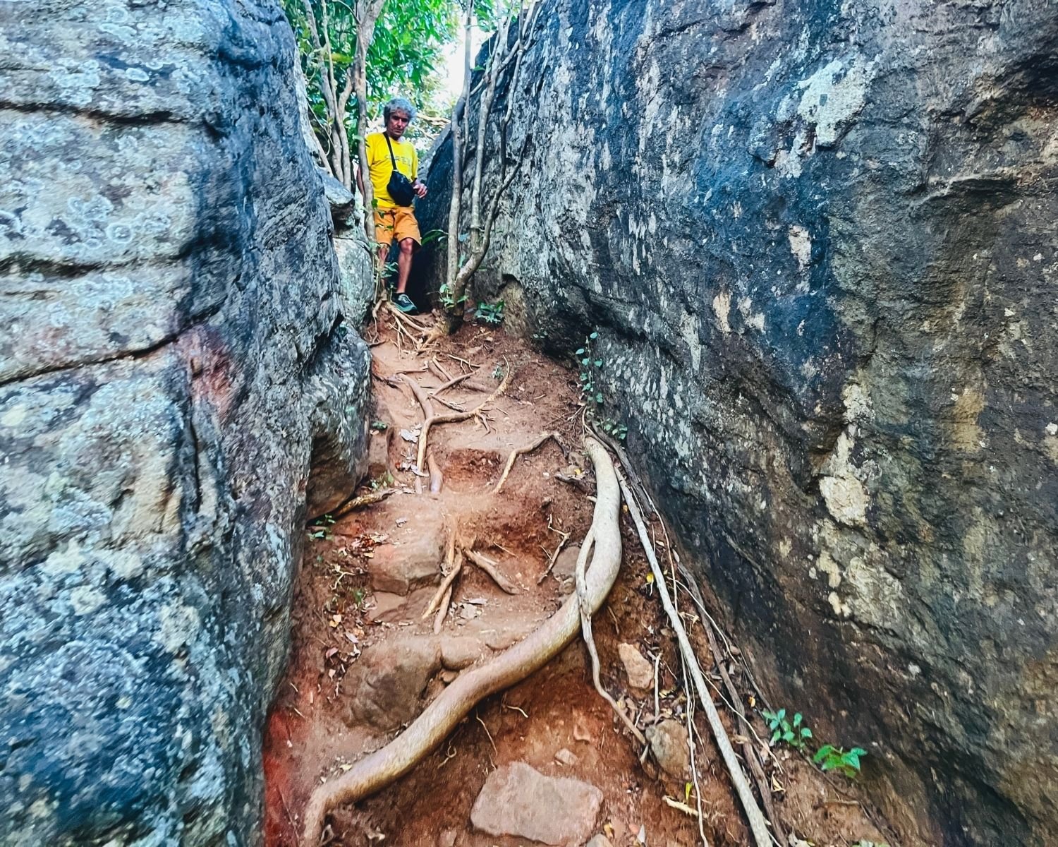 Narrow rock passage with tree roots on final trail to summit at Mapagala Fortress Little Pidurangala Sri Lanka