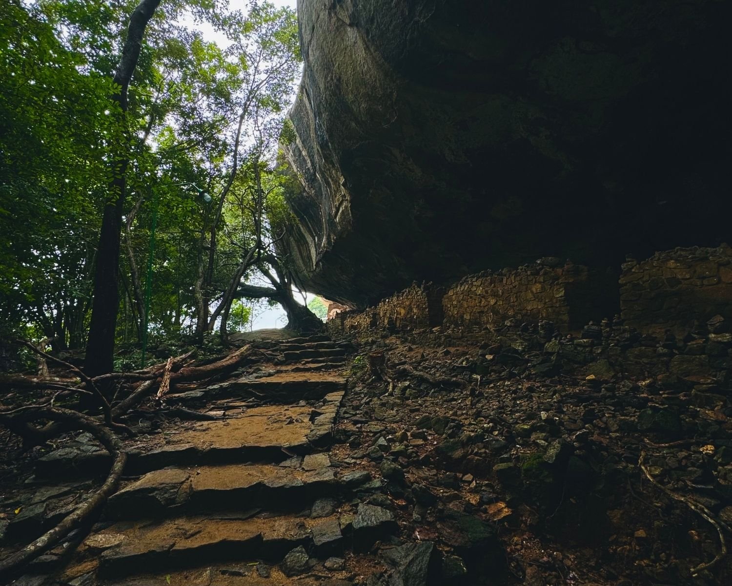 Ancient stone steps under massive rock overhang with exposed tree roots and low stone ruin walls, shaded jungle path on Pidurangala Rock hike near Sigiriya