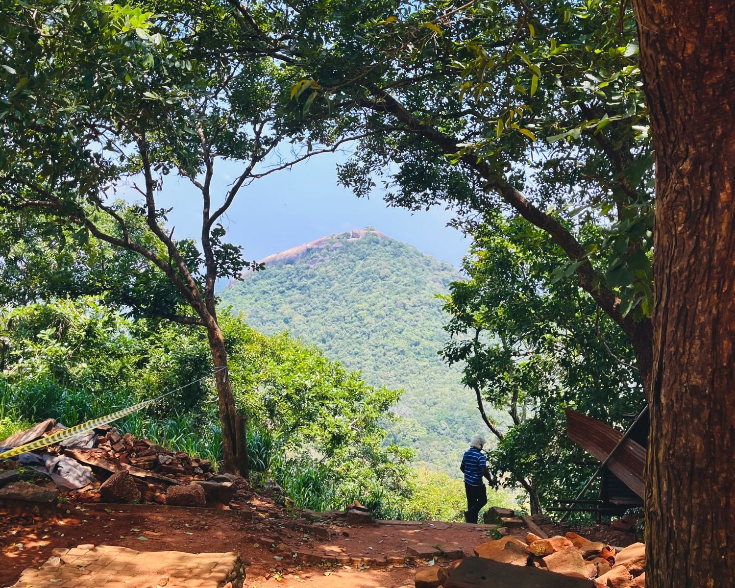 Pidurangala Rock hill seen through jungle trees from Sigiriya with construction rubble and person on trail, Sri Lanka