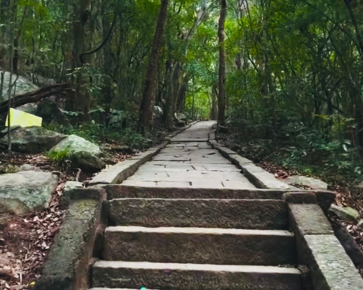 Long ancient stone pathway with steps leading through dense jungle at Ritigala Forest Reserve and Archaeological Site near Sigirya, Sri Lanka