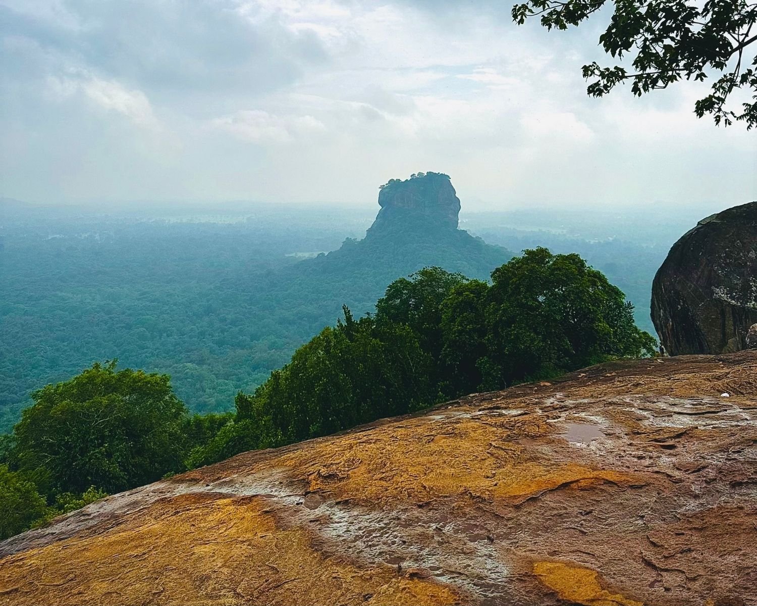 Distant view of Sigiriya rock fortress beyond jungle under cloudy sky, seen across wet rocky plateau with large boulder from Pidurangala Rock summit near Sigiriya