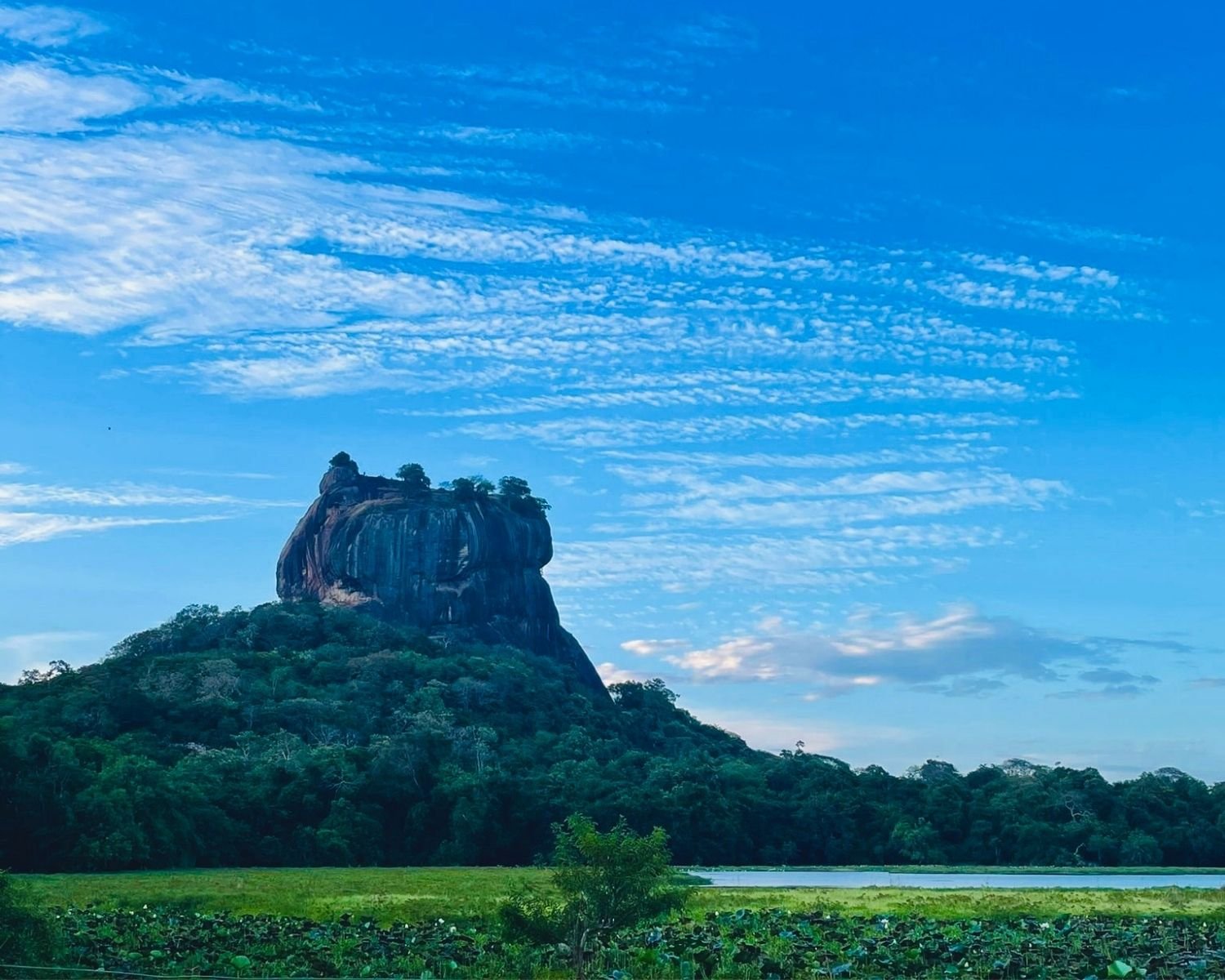 Sigiriya Rock distant view from lake with lotus field and blue sky Sri Lanka