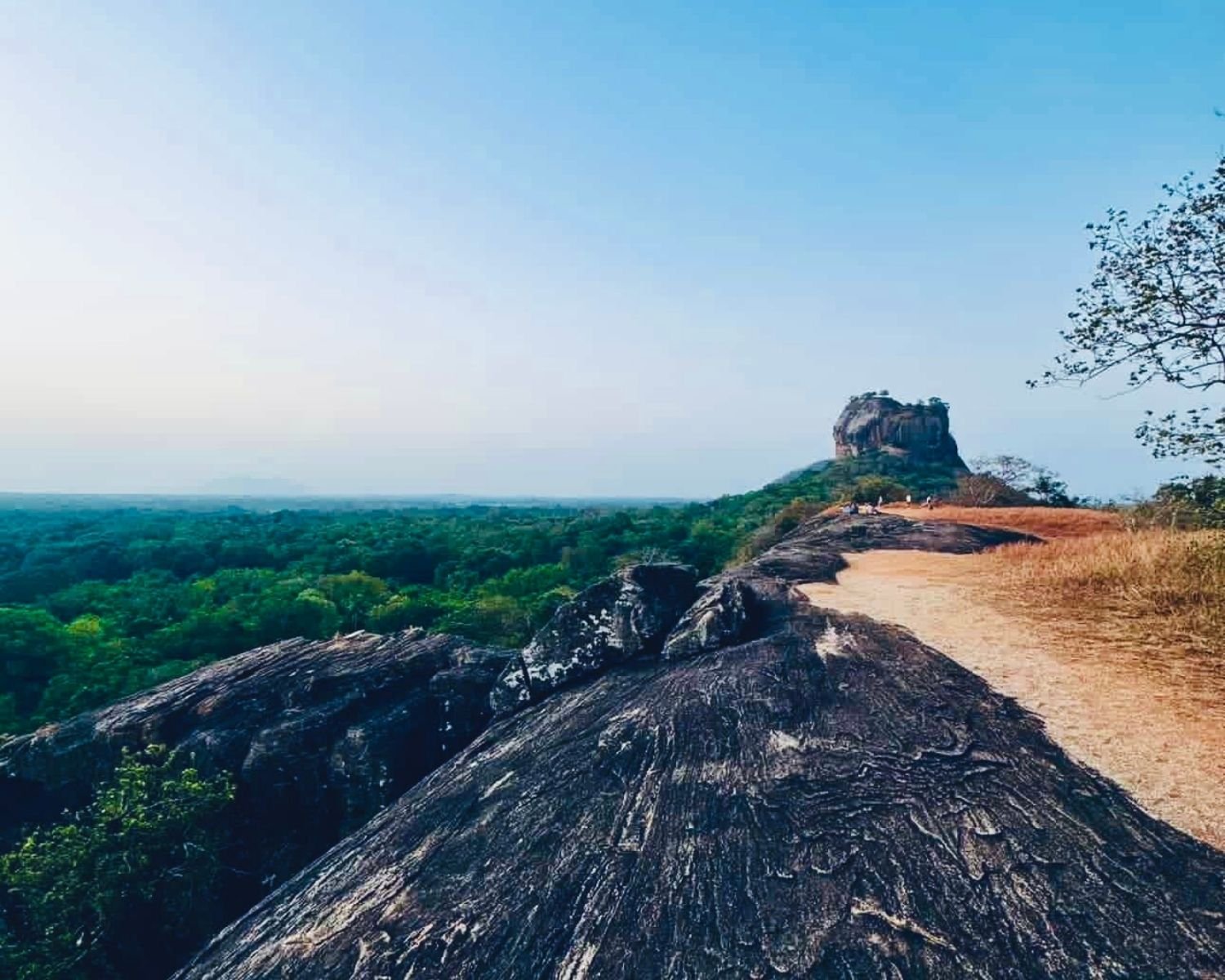 Wide summit plateau with striated black rock and dry grass on Mapagala, with distant Lion Rock, the Sigiriya rock fortress, and jungle below near Sigiriya