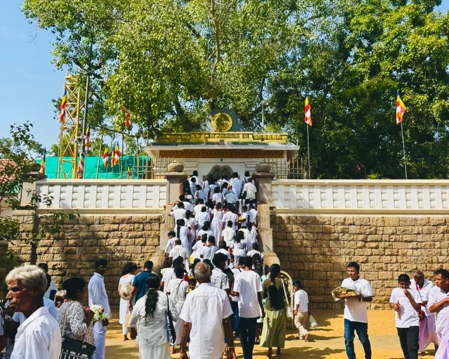 Crowd of white-clad pilgrims carrying offerings climb stone stairway to Jaya Sri Maha Bodhi in Anuradhapura