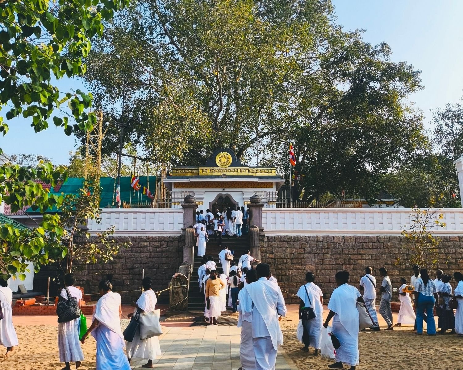 White-clad pilgrims ascend stone steps to Jaya Sri Maha Bodhi entrance under the sacred Bo tree in Anuradhapura