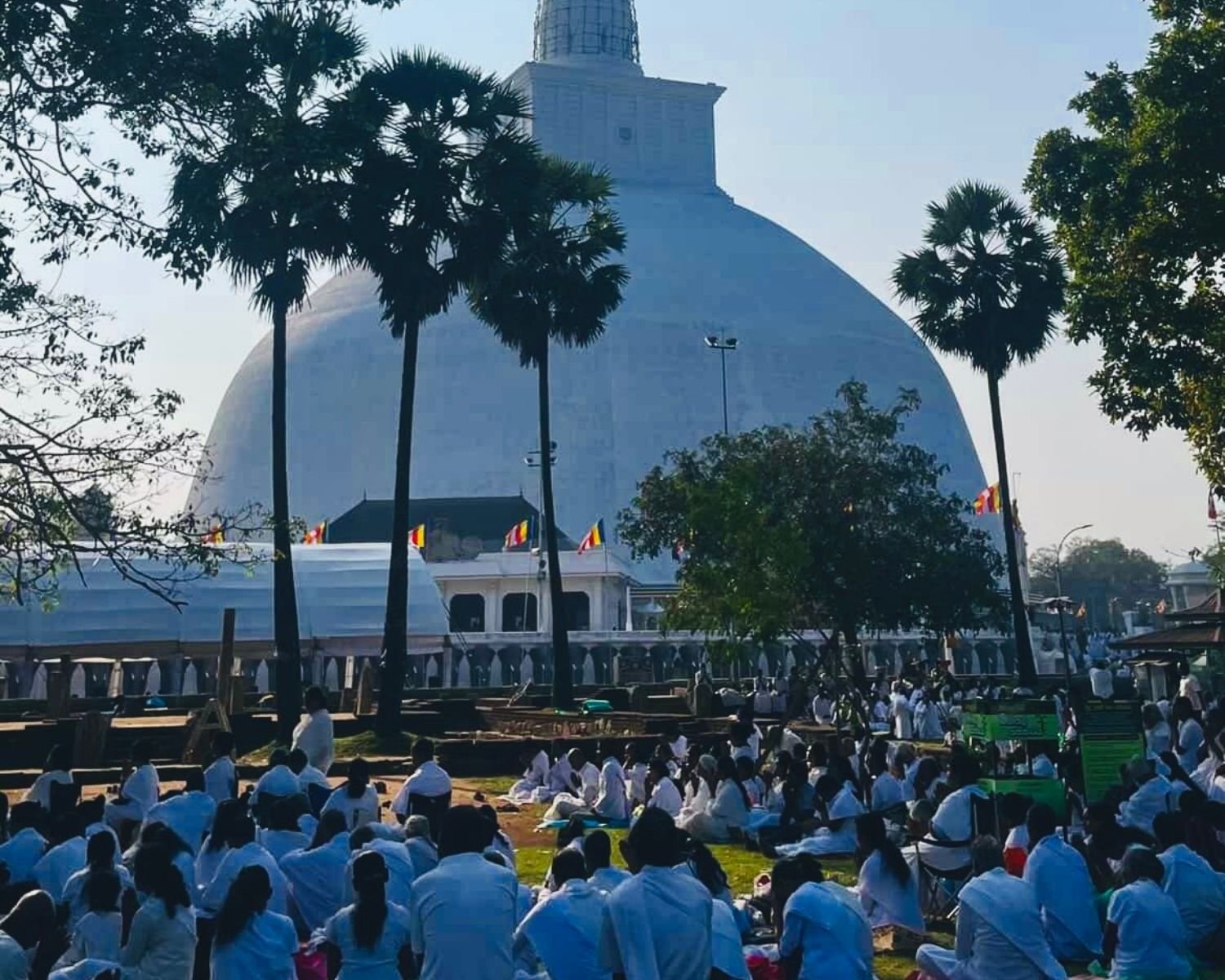 Hundreds of devotees in white meditate on lawn during full moon Poya day at Ruwanwelisaya stupa in Anuradhapura