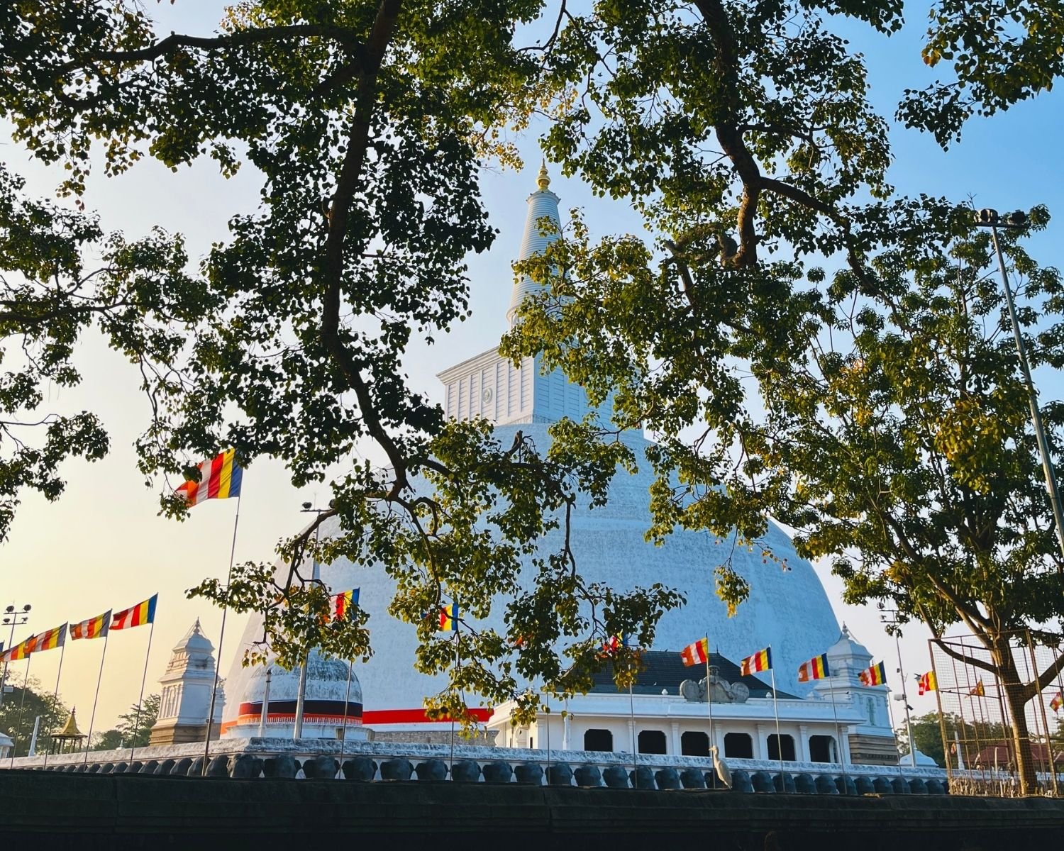 Southeast view of Ruwanwelisaya stupa framed by Bodhi tree with Buddhist flags and elephant wall in Anuradhapura