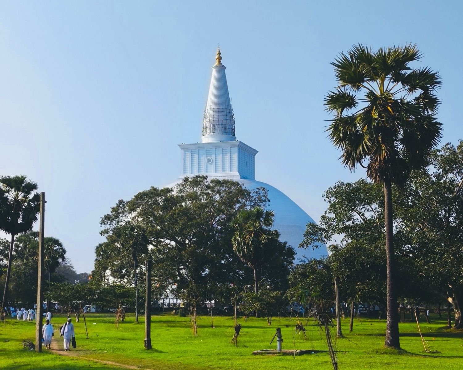 Ruwanwelisaya stupa with spire scaffolding and palmyra trees as devotees in white walk on lawn in Anuradhapura