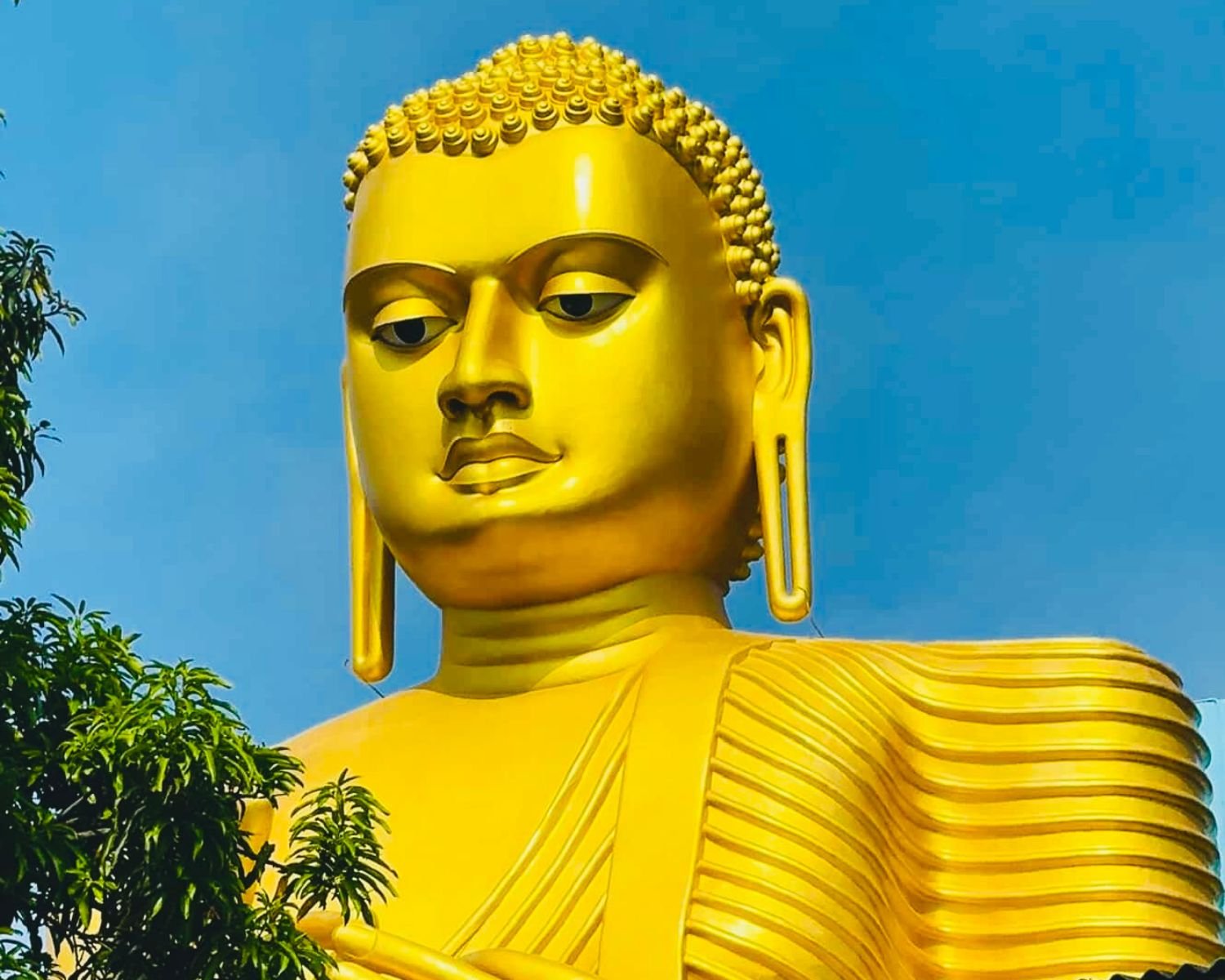 Close-up of the giant golden Buddha face against blue sky