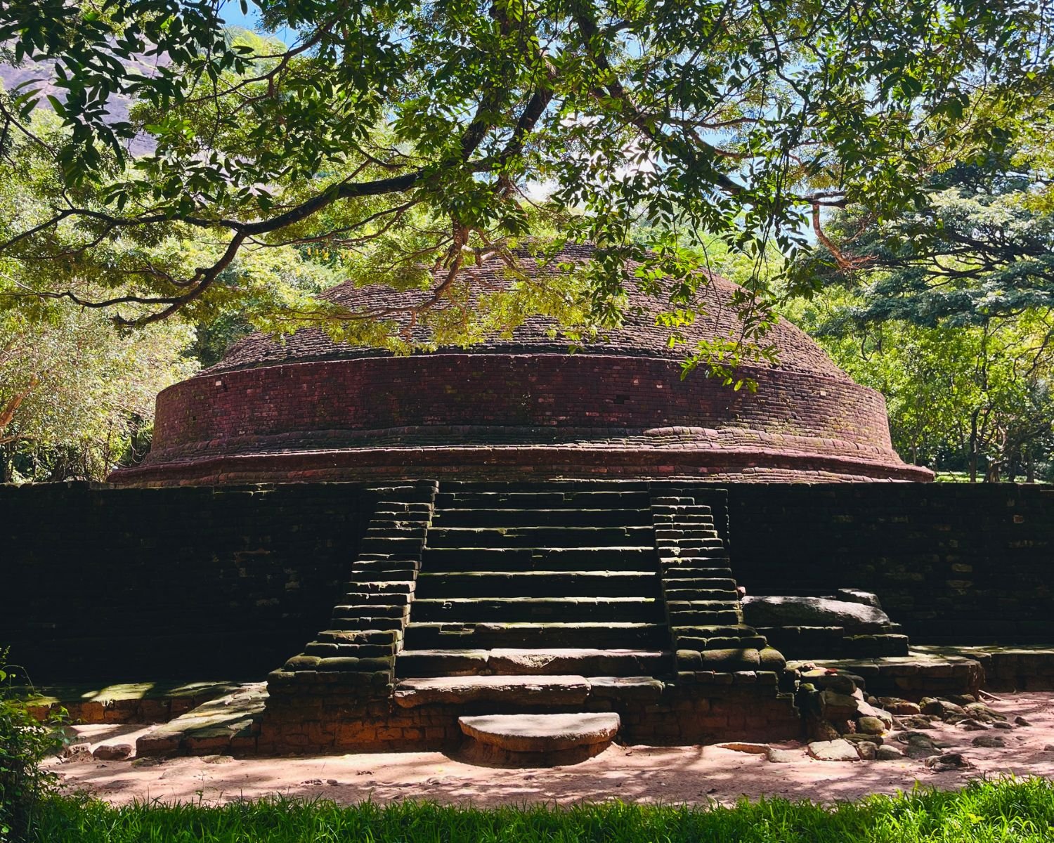 Ancient brick stupa ruins with stone steps surrounded by forest