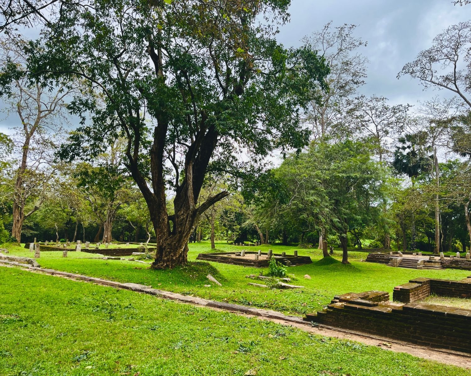 Jetavanaramaya monastery ruins with stone foundations, brick plinths, and trees in grass parkland at Anuradhapura