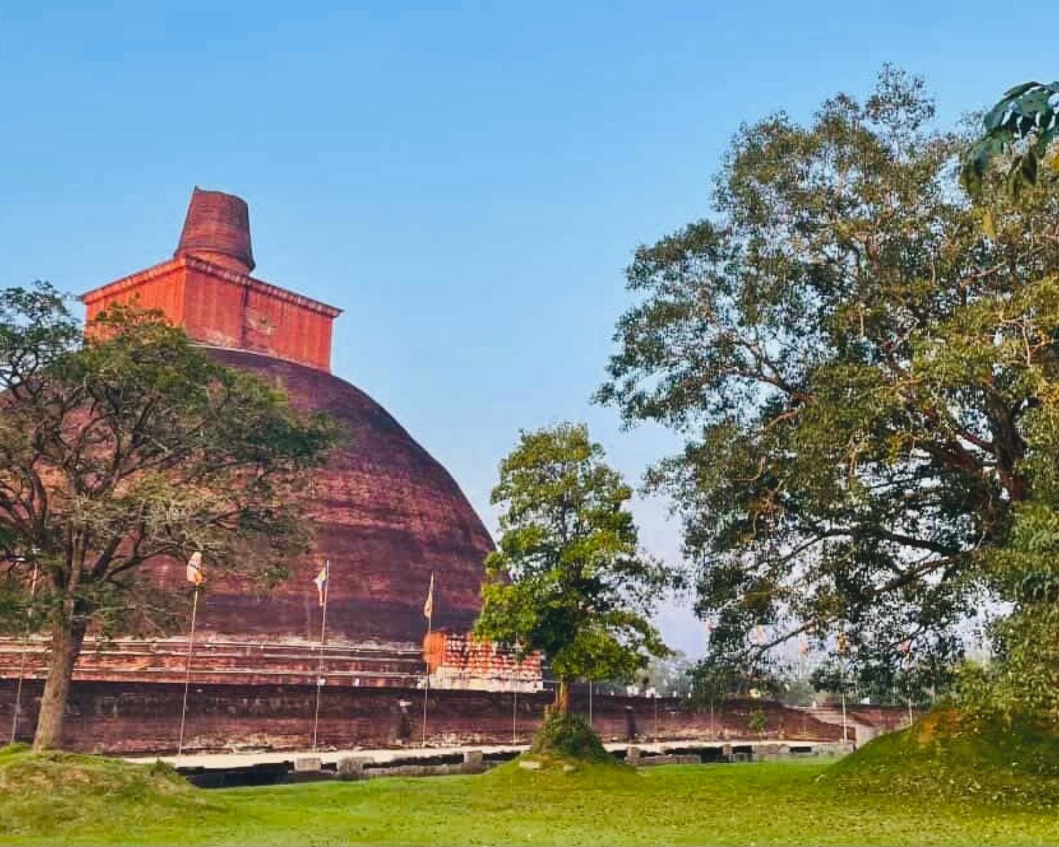 Jetavanaramaya brick stupa from southwest with trees and grass on the ancient platform
