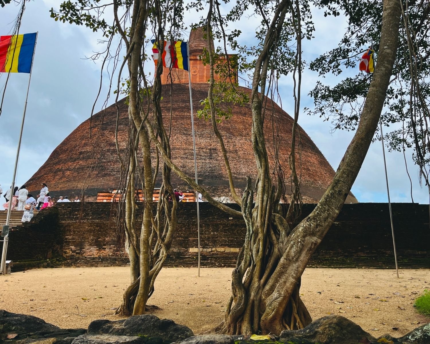 Jetavanaramaya west entrance with twisted banyan tree aerial roots, brick dome, and Buddhist flags on sand courtyard