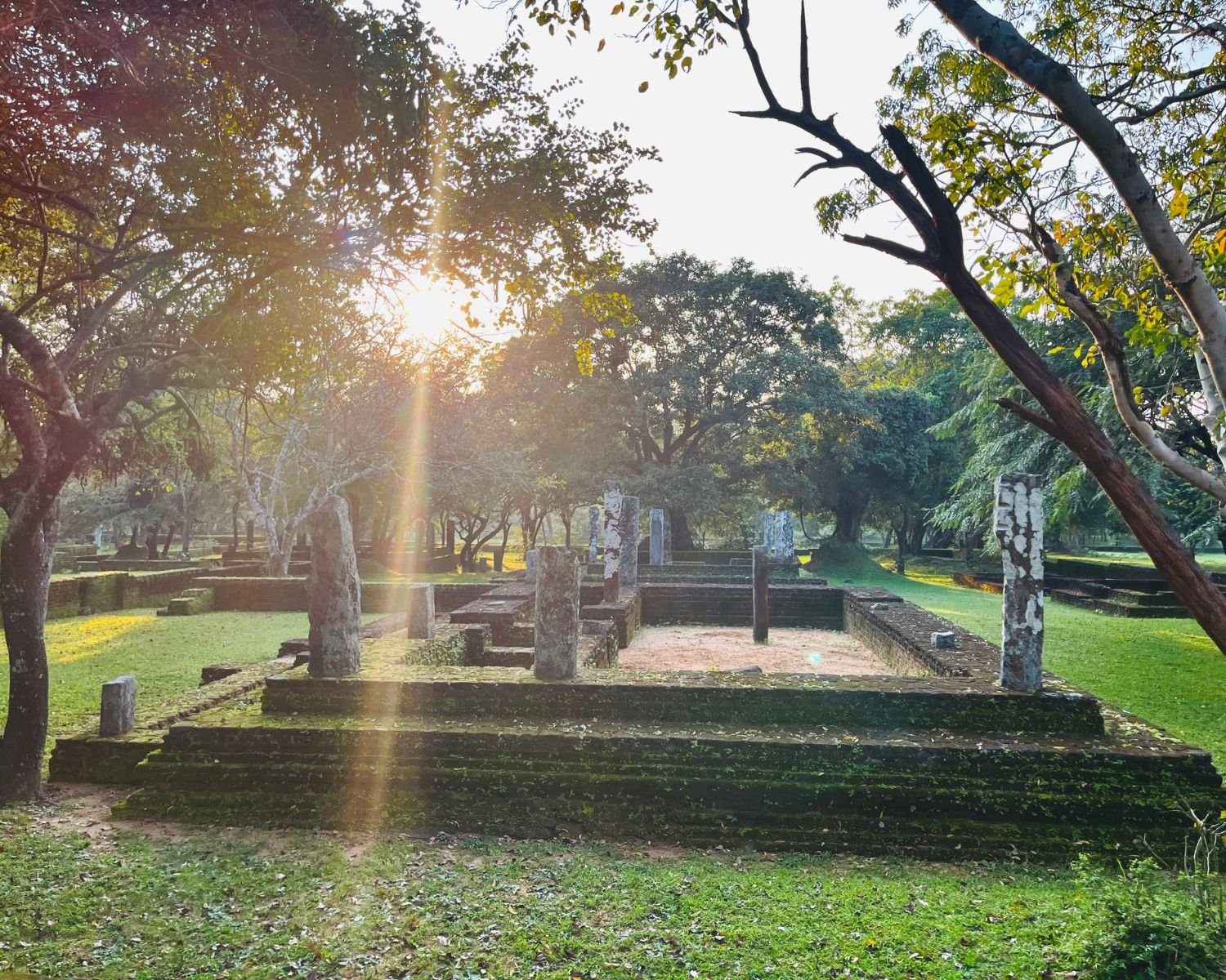 Moss-covered brick base and stone pillars of monk’s residence in Alahana Pirivena at golden sunset