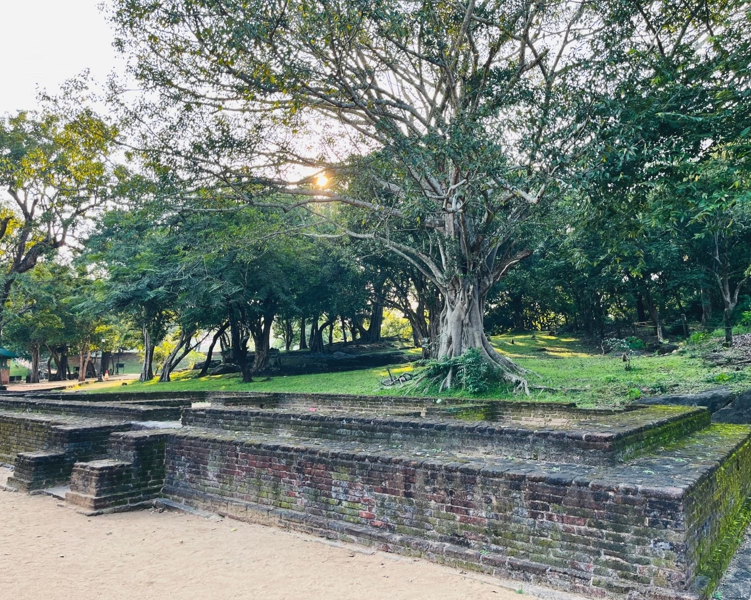 Ancient brick foundation remains beneath trees near Gal Vihara rock-carved shrine